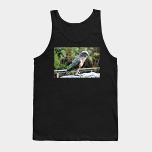 Nouvelle Zélande -  Milford Sound, perroquet kea Tank Top